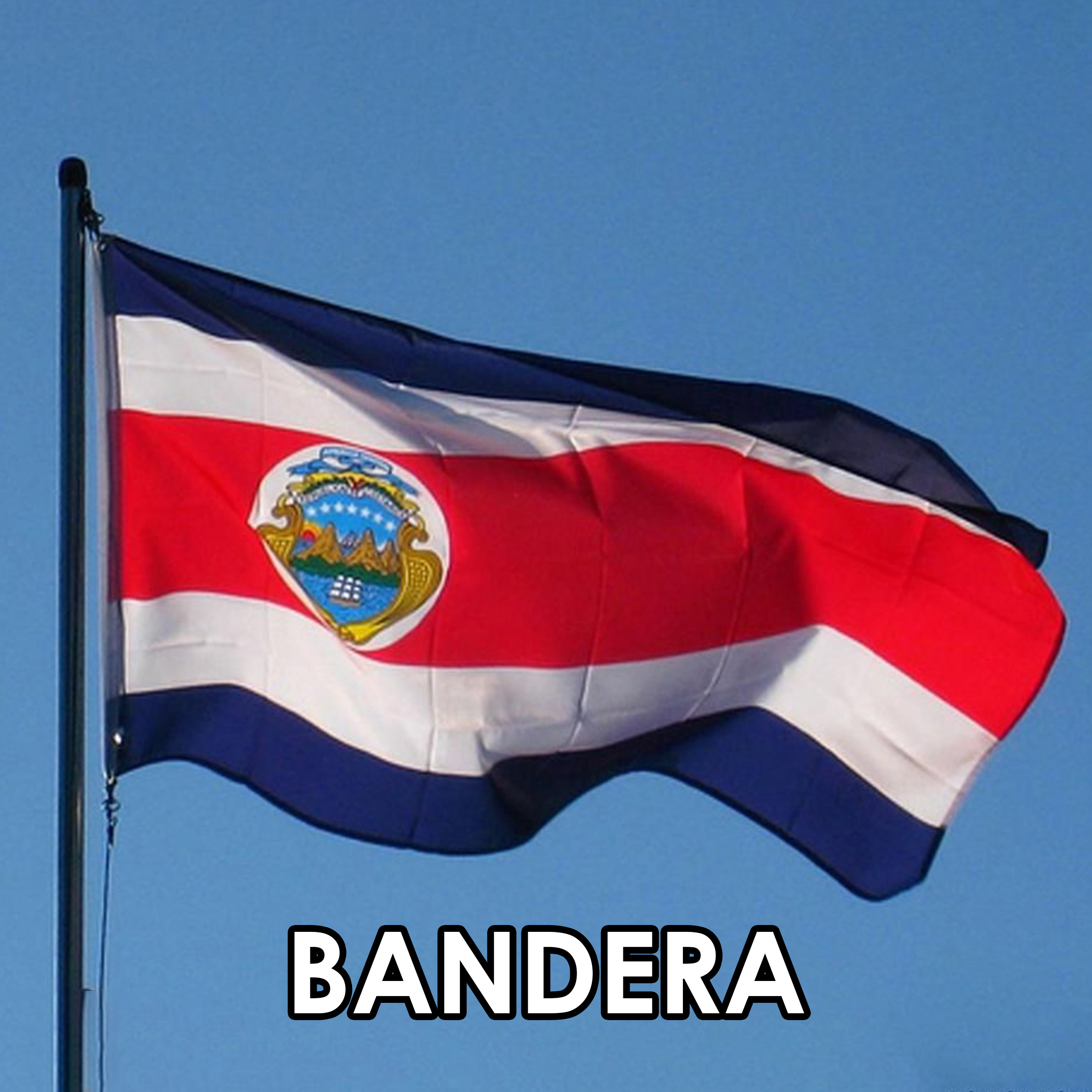 Imagen 8