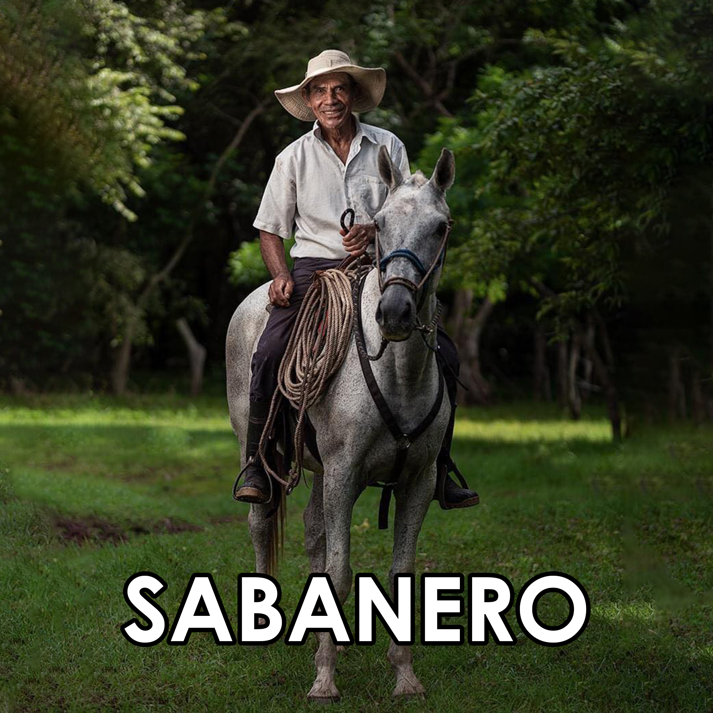 Imagen 18
