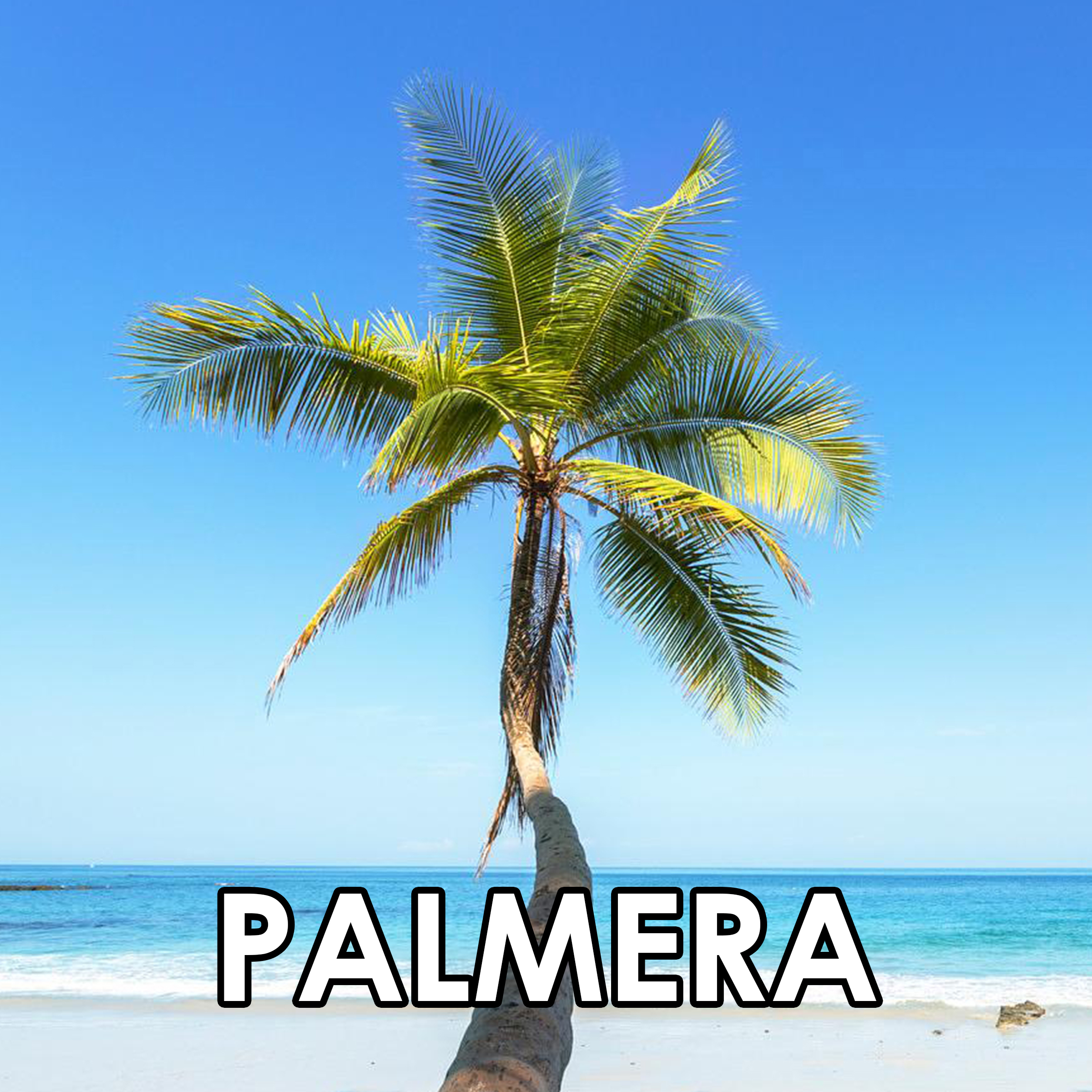 Imagen 37