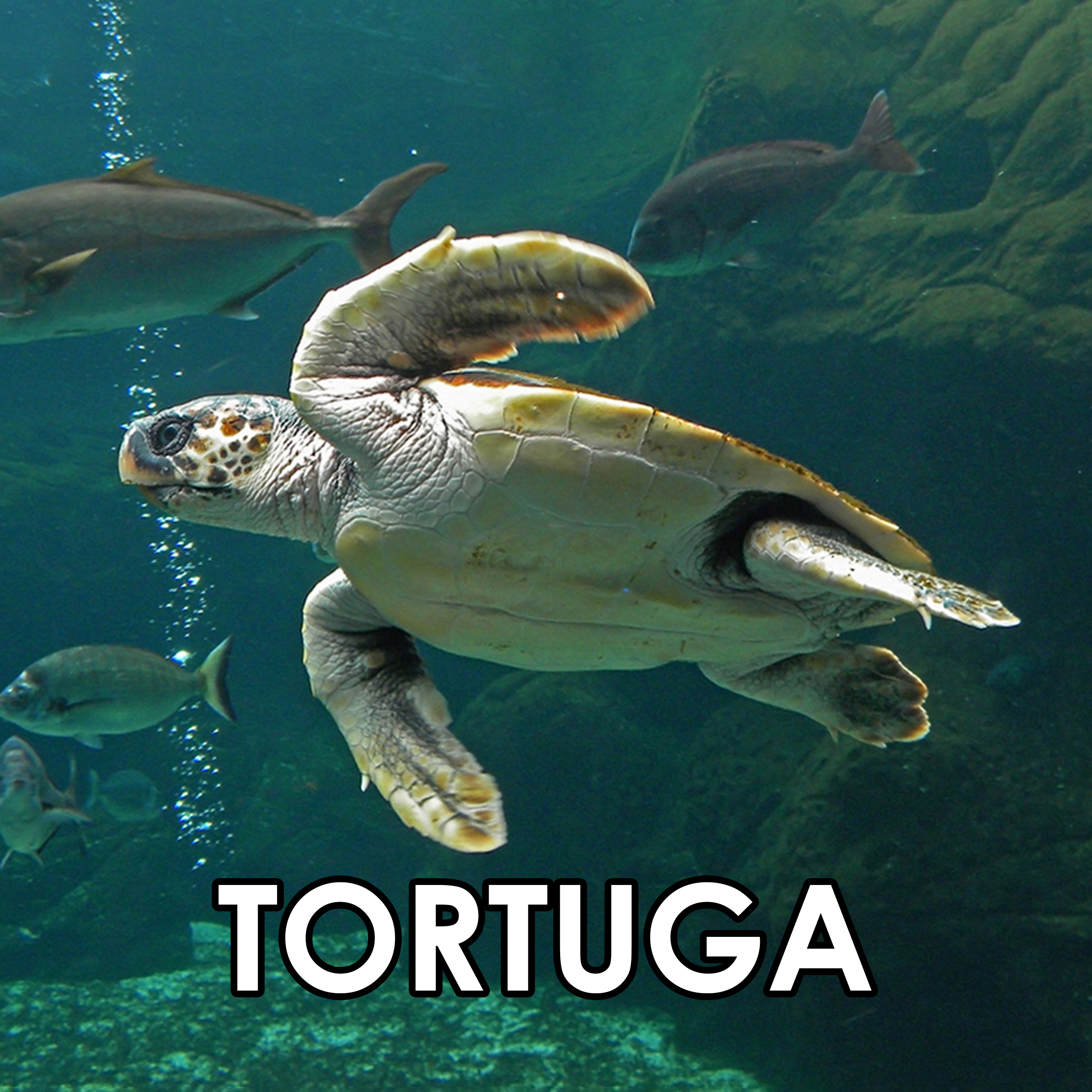 Imagen 56